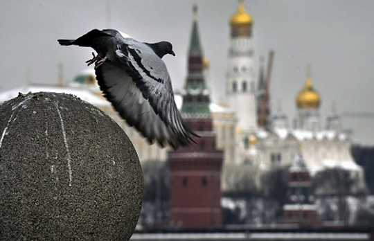  ������ ������ ������� ���� ������ ������ ������� 